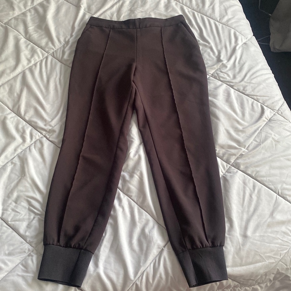 Dynamite jogger style dress pant